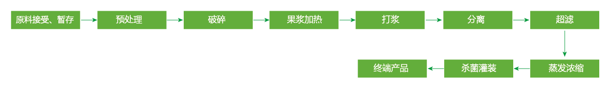 藍(lán)莓、草莓、桑葚濃縮汁
